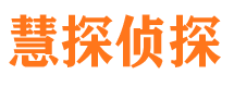 顺河市私家侦探